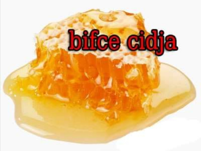 File:bifce cidja.png